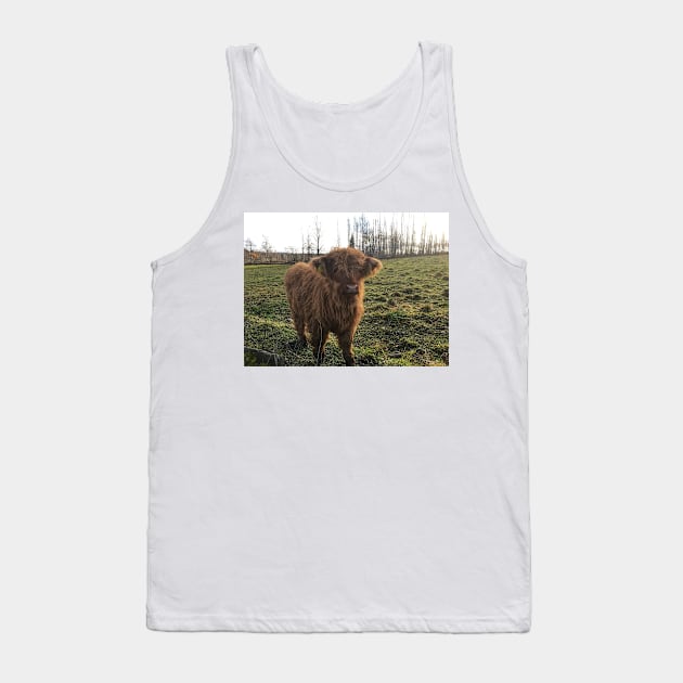 Scottish Highland Cattle Calf 1844 Tank Top by SaarelaHighland